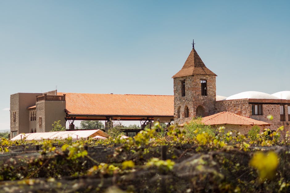 Viñedos históricos en Querétaro cerca de San Miguel